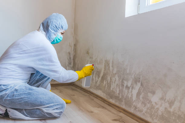 Attic mold on roof deck in Jbsa Randolph home